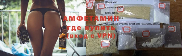 стаф Ельня