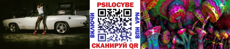 купить закладку Уссурийск Псилоцибиновые грибы мухоморы